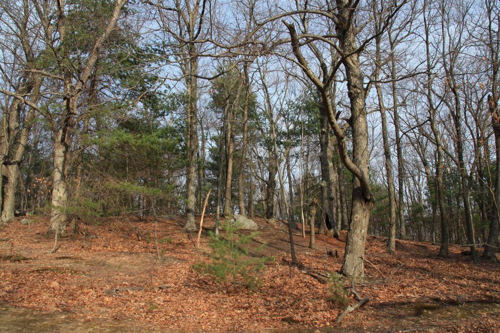 Park of the De Cordova museum, New England