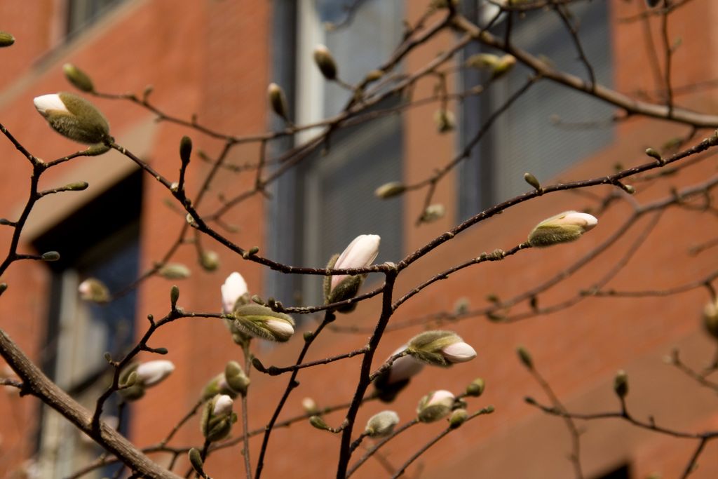 Boston, Malborough Street