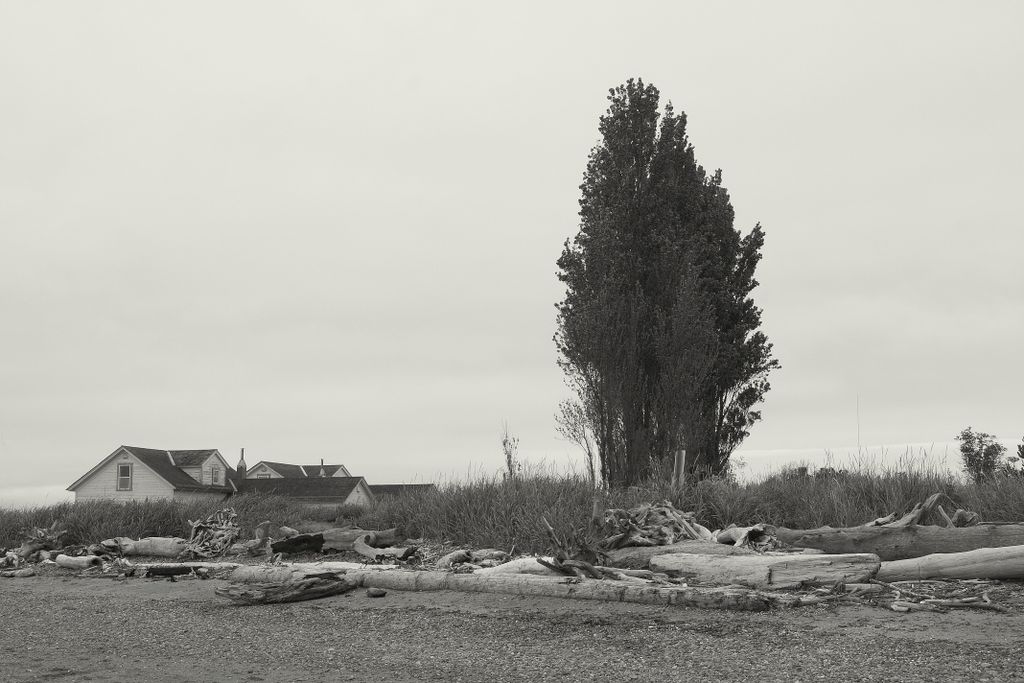 A small park on the outskirts of Seattle (visited with Ann Basetti)