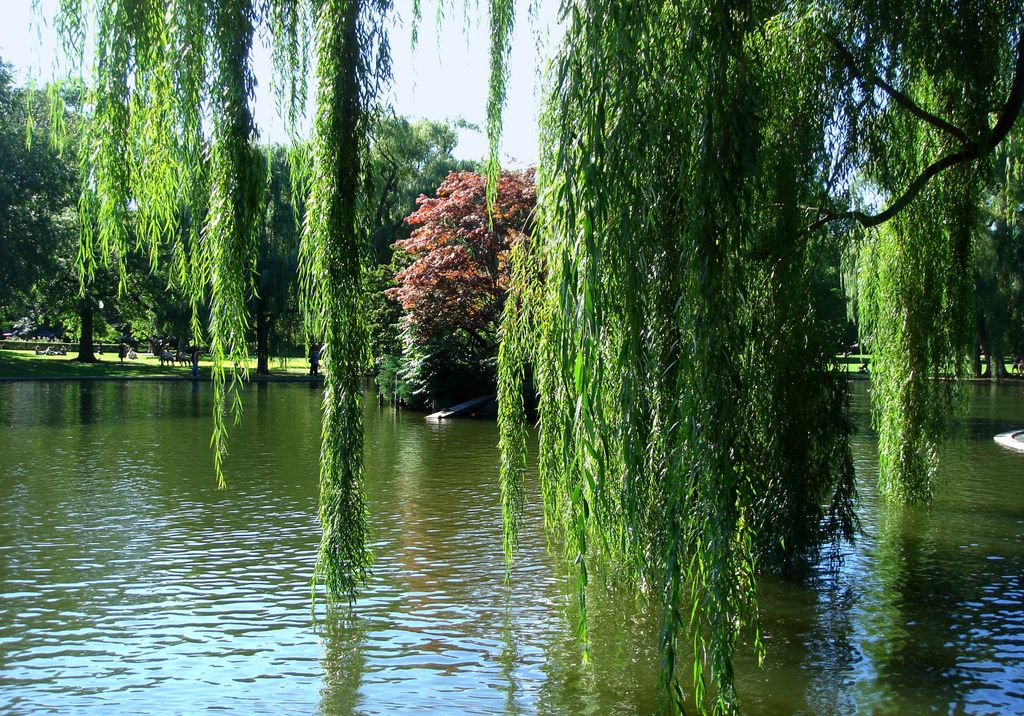 Boston, Public Garden