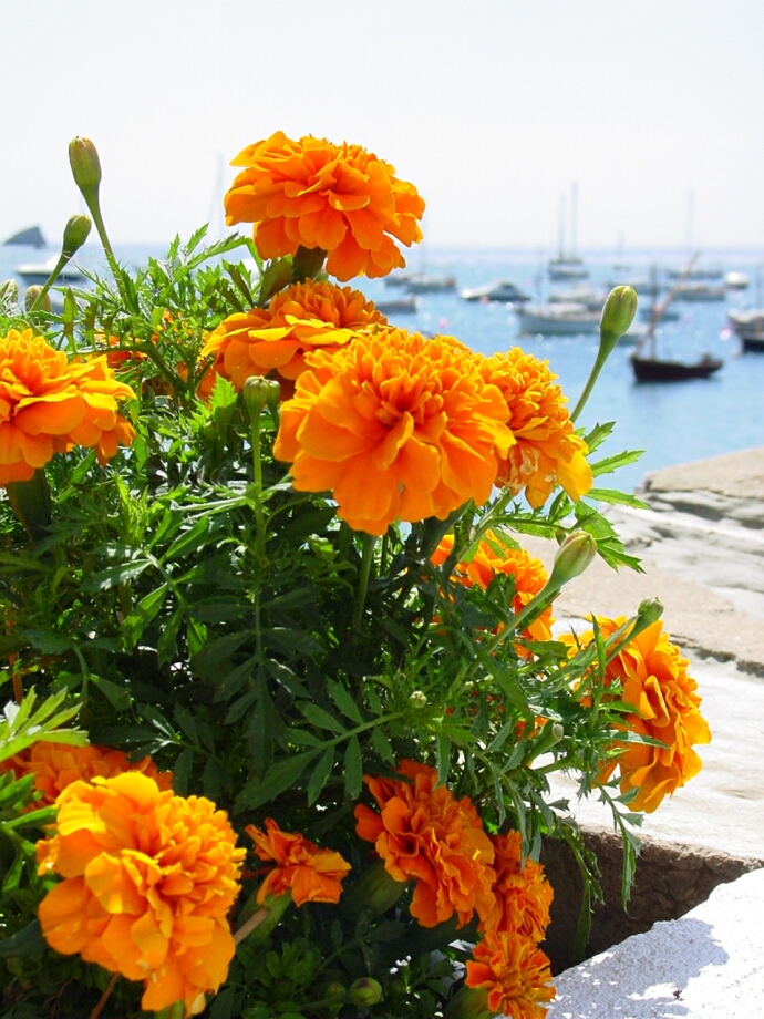 Cadaquès, Spain