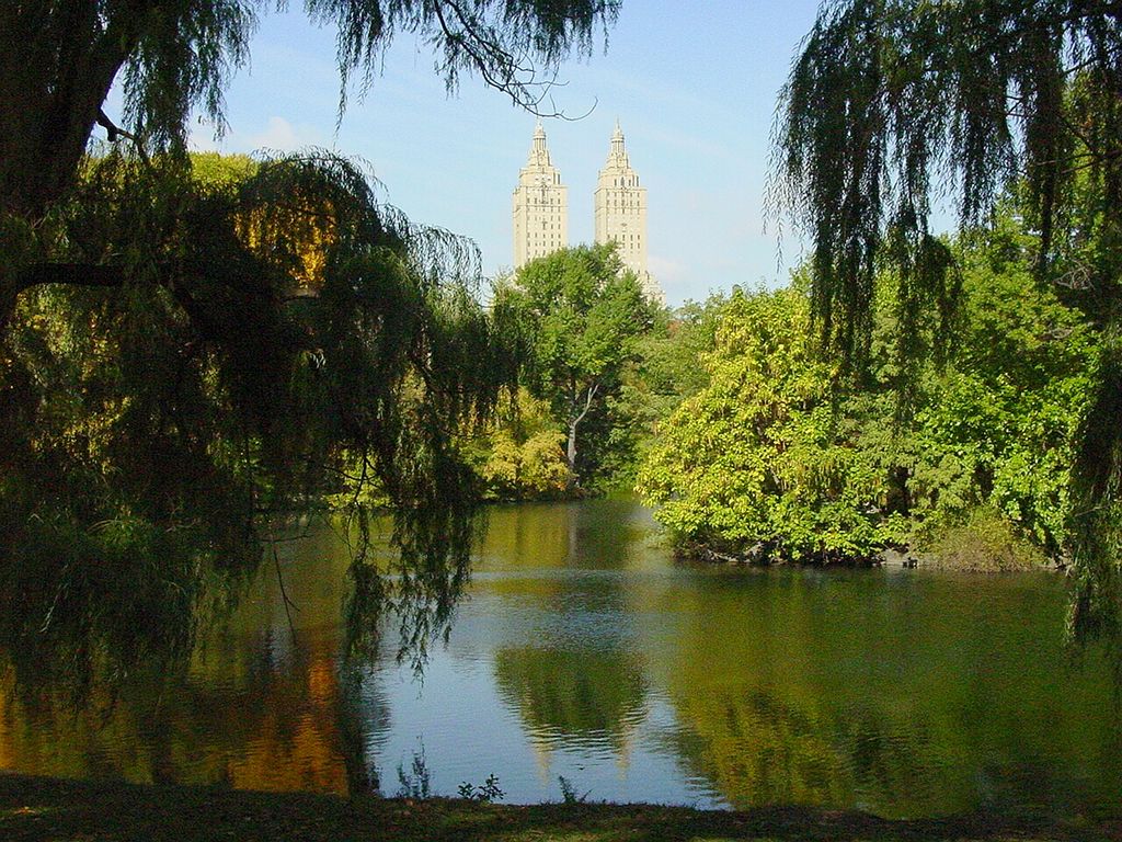 Central Park, New York