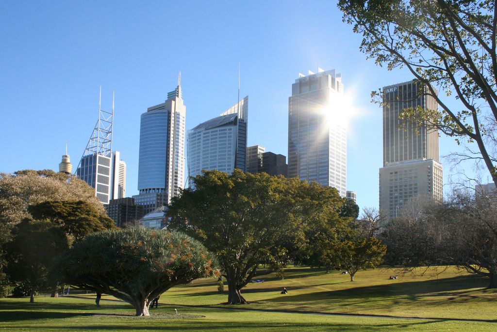 Skyline from the Botanical Gardens, Sydney