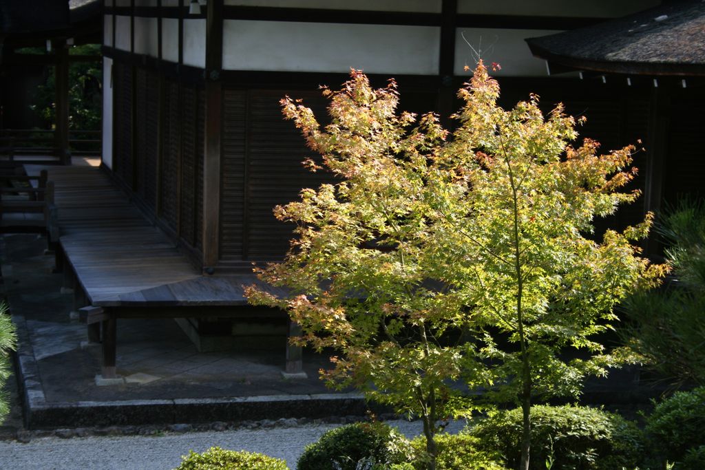 Nina-ji Temple, Kyoto, Japan