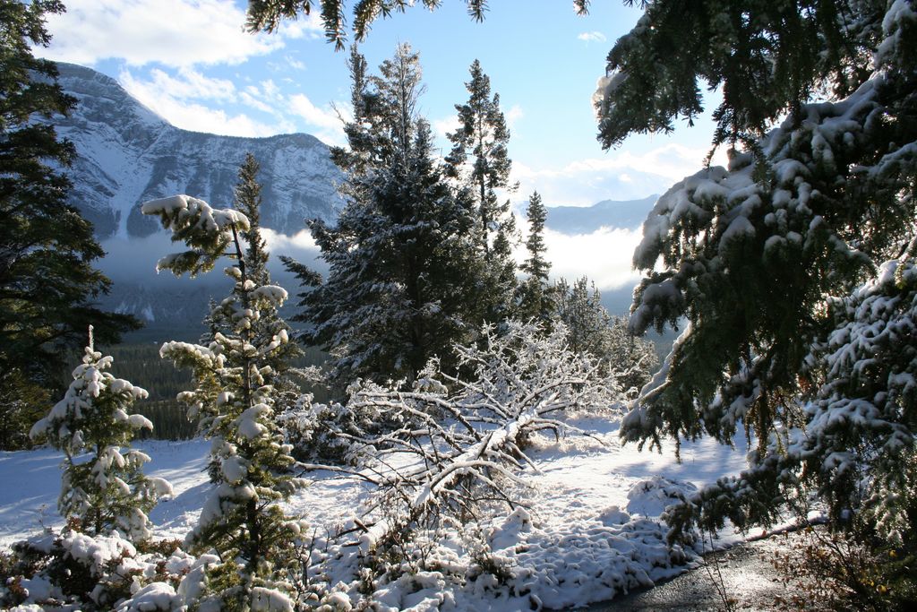 Short visit to Banff, Canada