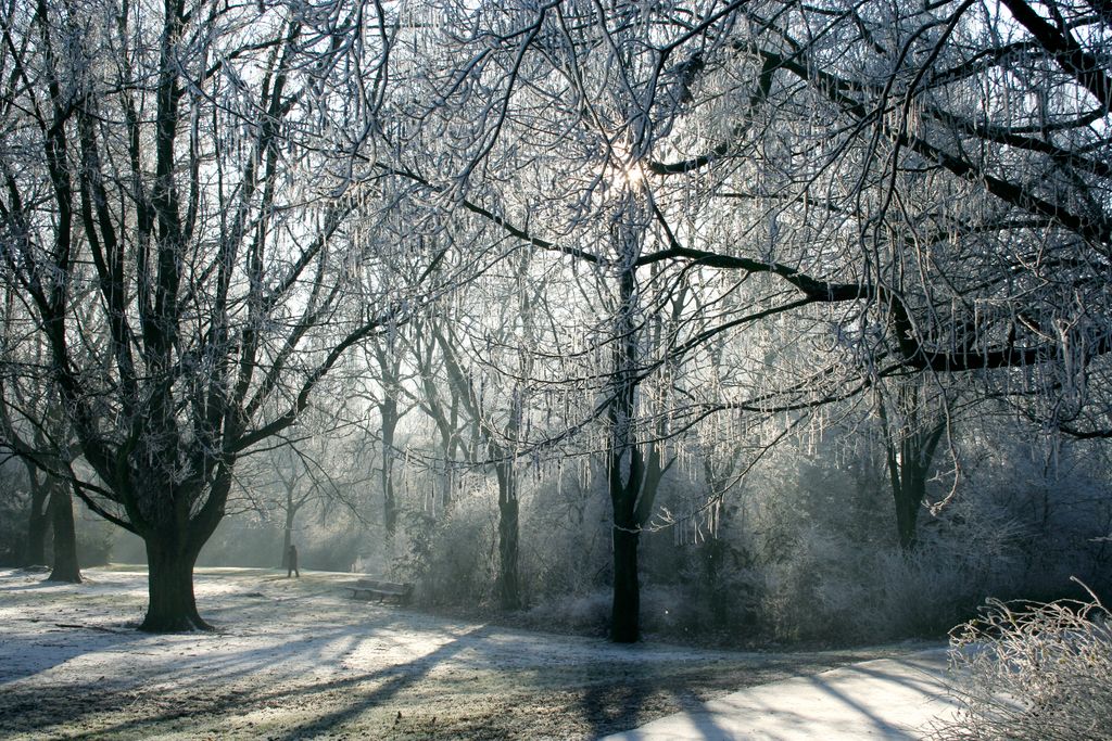 Winter in Beatrixpark, Amsterdam