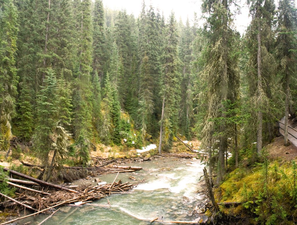 Johnston Canyon, by Banff