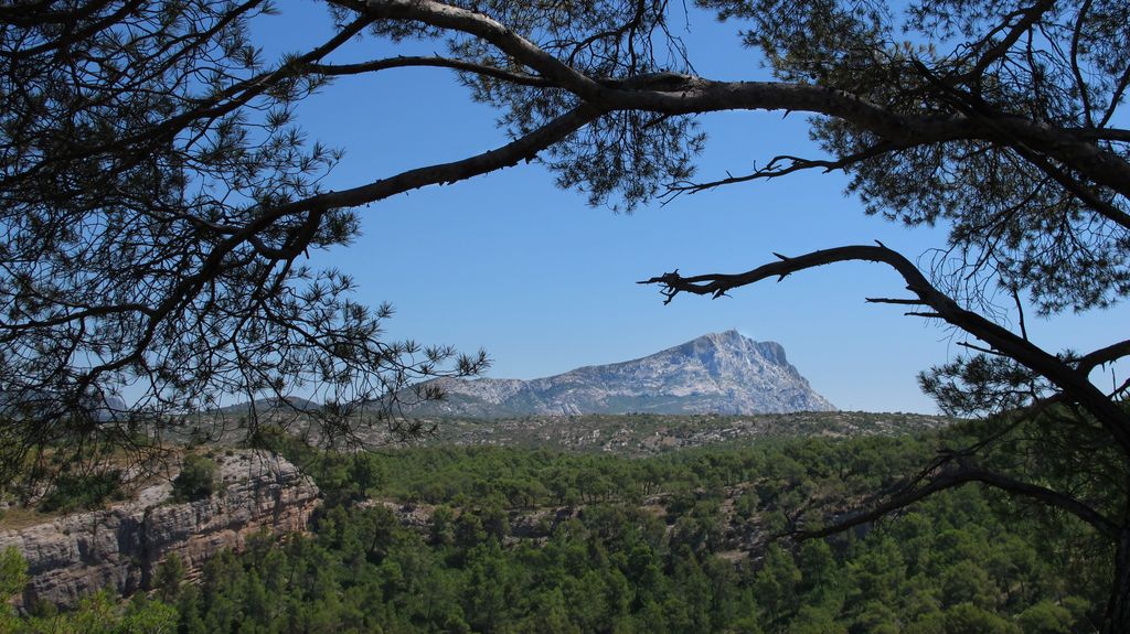 Forest on the slopes of the St Victoire mountain, by le Tholonet, nearby Aix-en-Provence