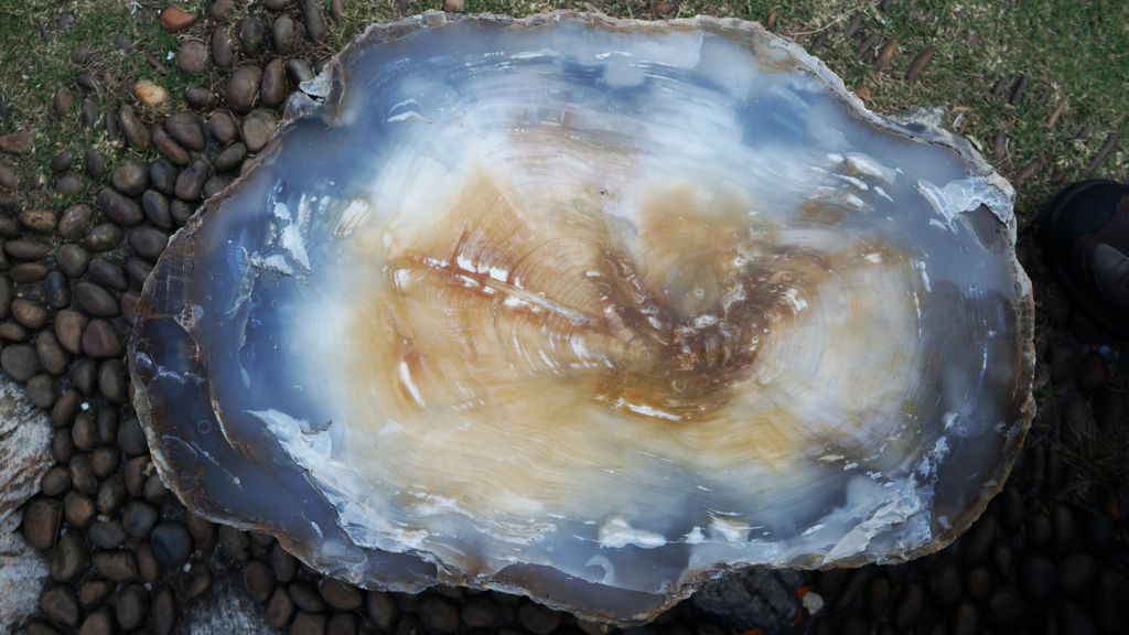 Petrified Forest, Fairly Lake Botanical Garden, Shenzhen, China