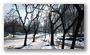 View from Central Park, Early morning in February, New York