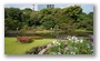 Gardens of the Imperial Palace in Tokyo, Japan