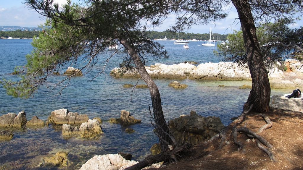 Île St. Honorat, Cannes