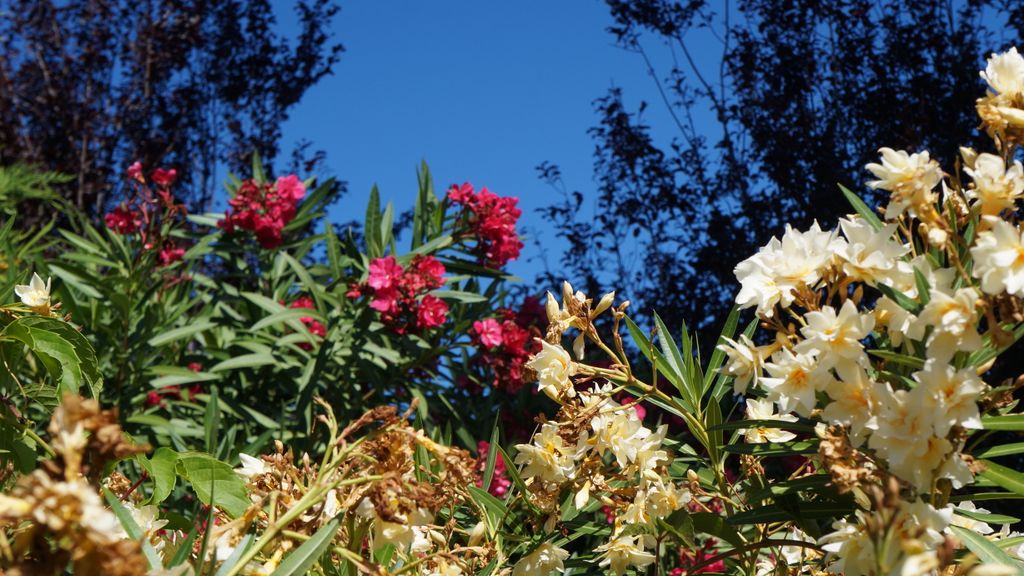 Colours of Provence after a Mistral… (i.e., a cold wind from the North that cleans the air in a spectacular manner)