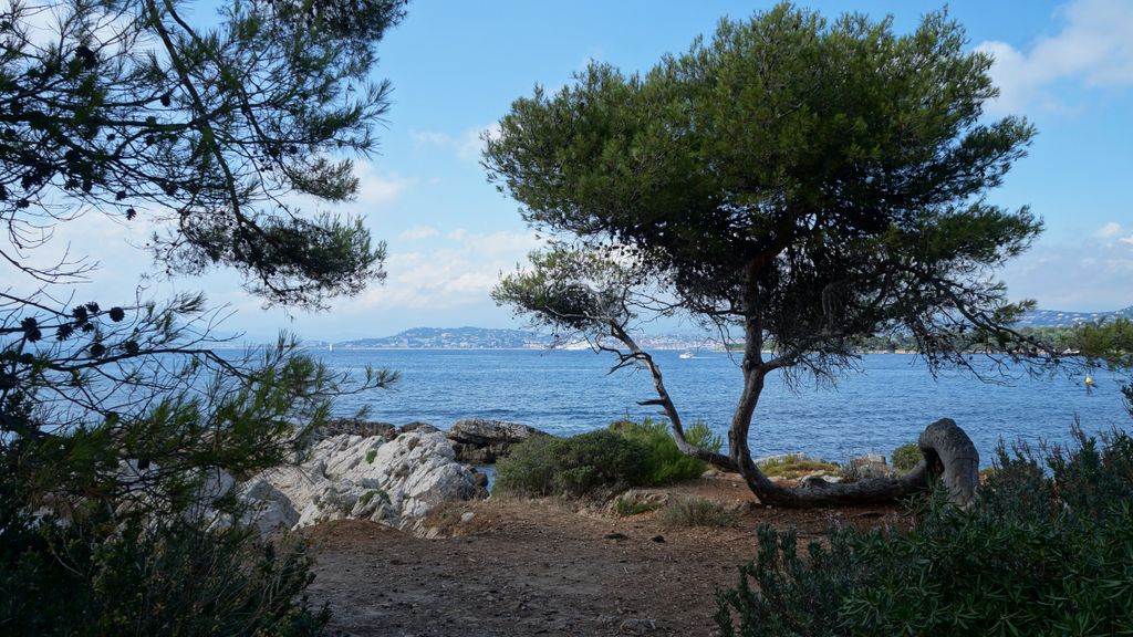 Île St. Honorat, Cannes