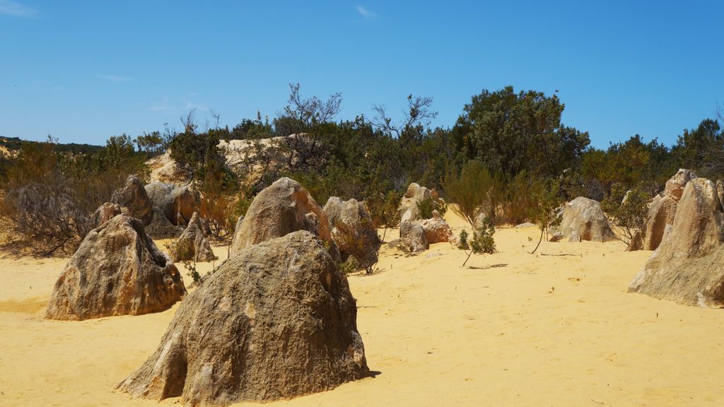 The Pinnacles, Nambung National Park, north of Perth