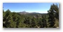 In the forest on the side of the St Victoire, Aix-en-Provence: view of the St Victoire from the 'Plateau Bibémus'