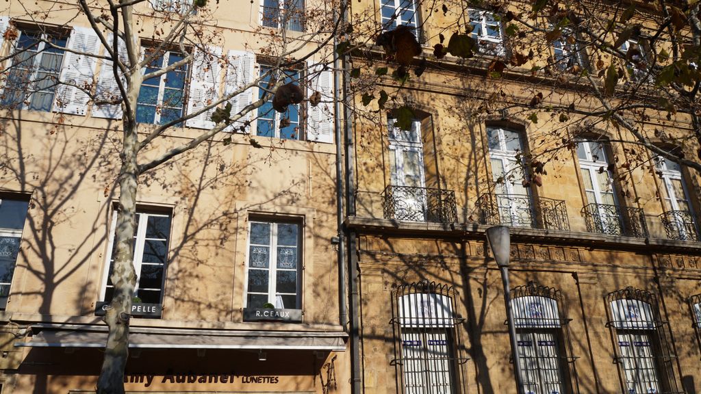 Shadows of the trees in winter on the facades on the Cours Mirabeau, Aix-en-Provence