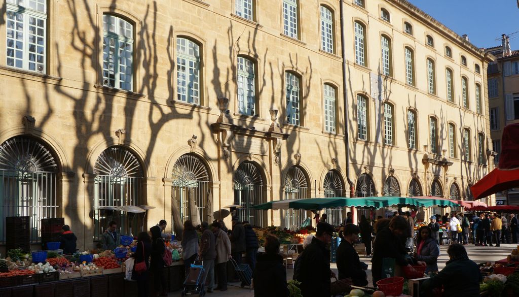 Shadows of the trees in winter on the facade of the ancient 