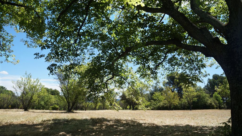 Entremont, Aix-en-Provence