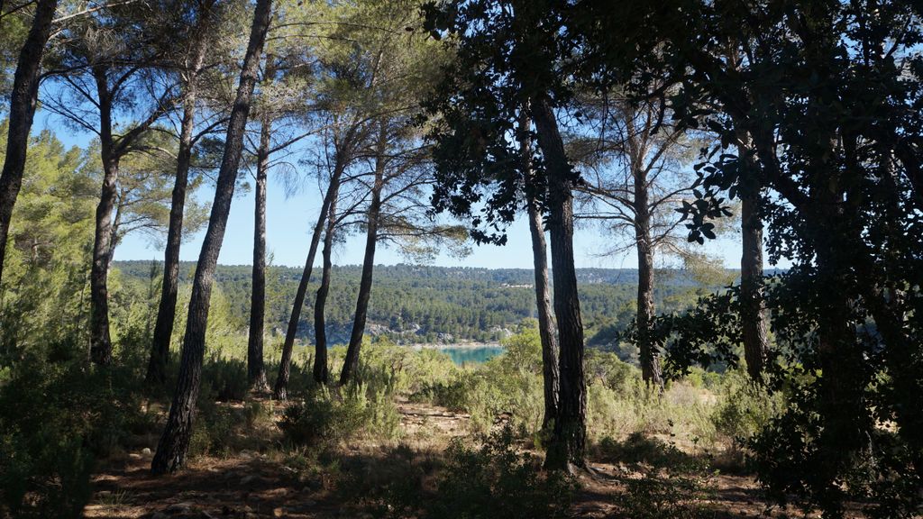 On the slopes of the St. Victoire, nearby Aix-en-Provence