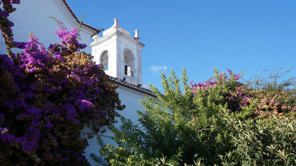 Miradouro de Santa Luzia, Lisbon