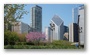 Michigan Avenue Skyline from the Lurie Garden, Millenium Park, Chicago Loop