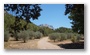 On the slopes of the St. Victoire, nearby Aix-en-Provence