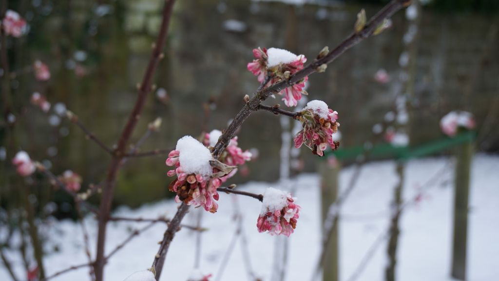 Amstelveen in winter