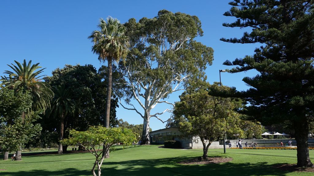 King's Park, Perth