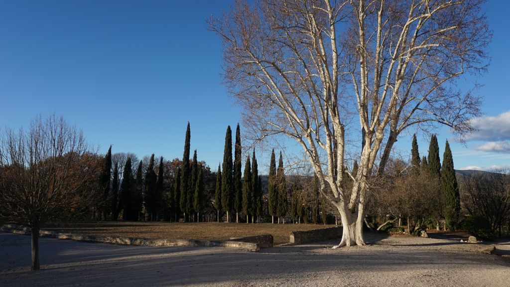 Silvacane Abbey, in La Roque-d'Anthéron, in winter lights