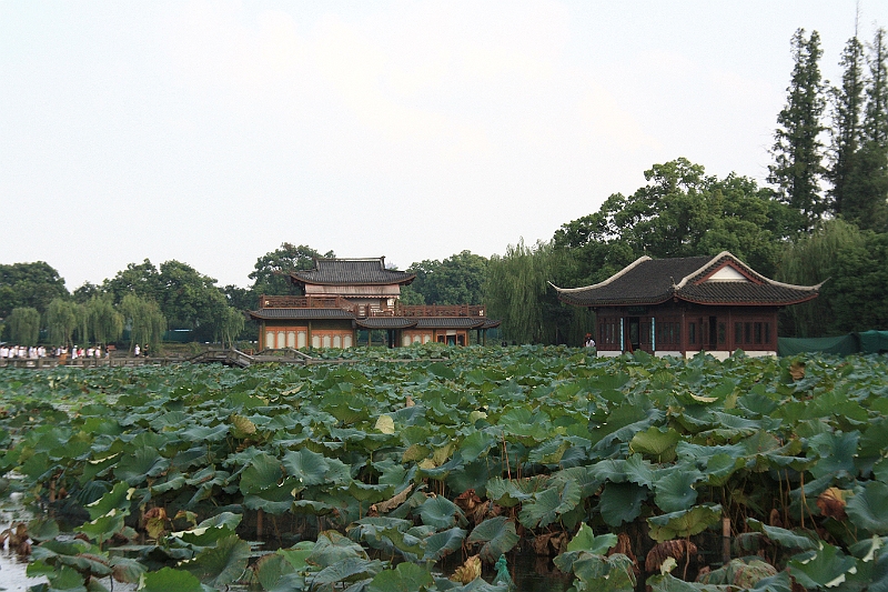 cimg_2031.jpg - Around the West Lake, Hangzhou, China