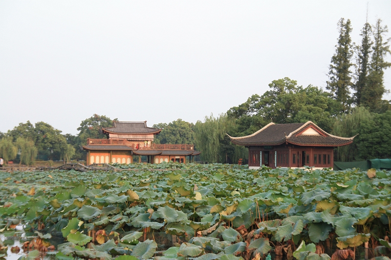 cimg_2102.jpg - Around the West Lake, Hangzhou, China