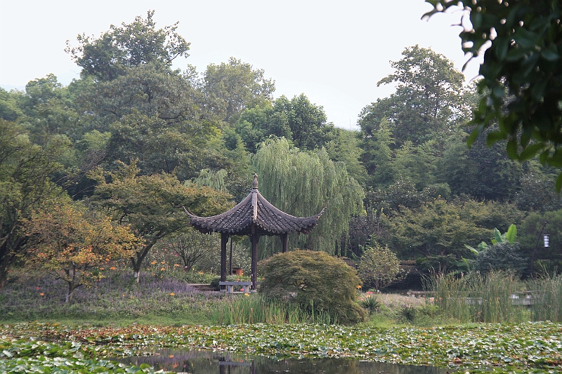 cimg_2220.jpg - Around the West Lake, Hangzhou, China