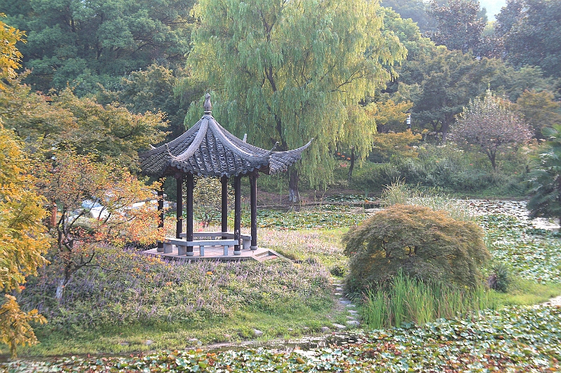 cimg_2223.jpg - Around the West Lake, Hangzhou, China