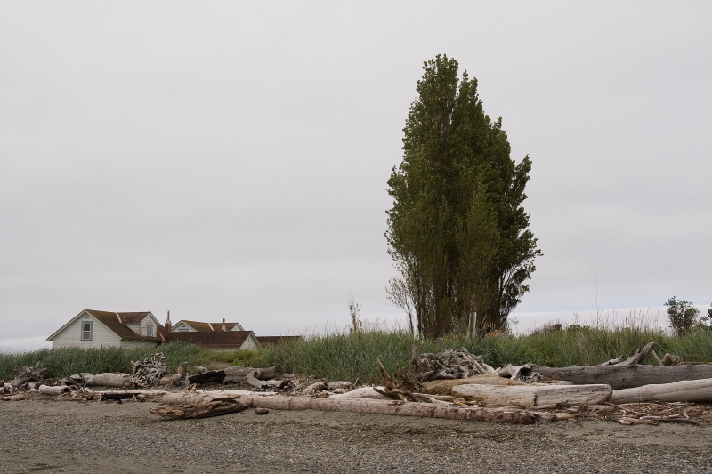 cimg_2522.jpg - A small park on the outskirts of Seattle (visited with Ann Basetti)