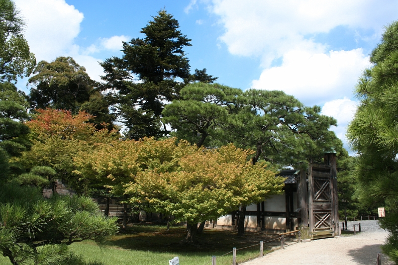 IMG_2061.jpg - Nijo-jo Castle