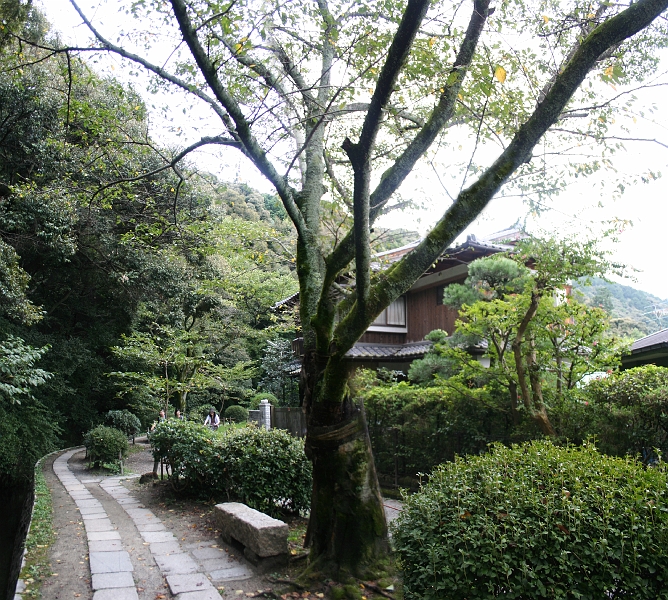 tetsugaku-1.jpg - Tetsugaku-no-michi Street, the "philosophers' path" along the small river