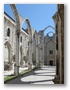 Ruins of the Carmelite Cloister