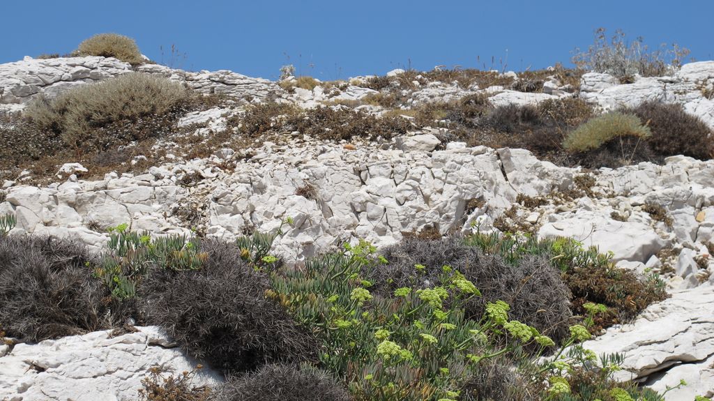 At the outskirts of Marseille (Montredon)