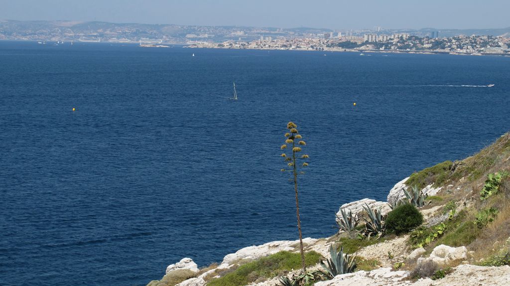 At the outskirts of Marseille (Montredon)