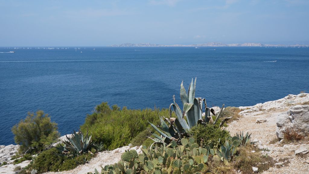 The seashore by la Madrague, a faraway suburb of Marseille