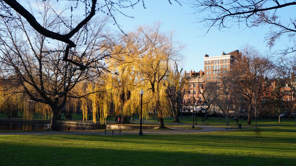 Boston Public Gardens