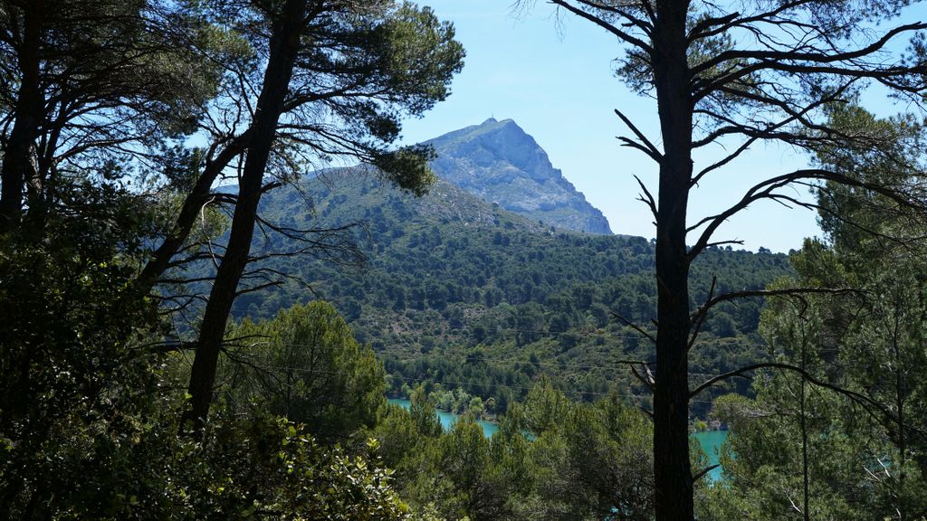 In the forest on the side of the St Victoire, Aix-en-Provence