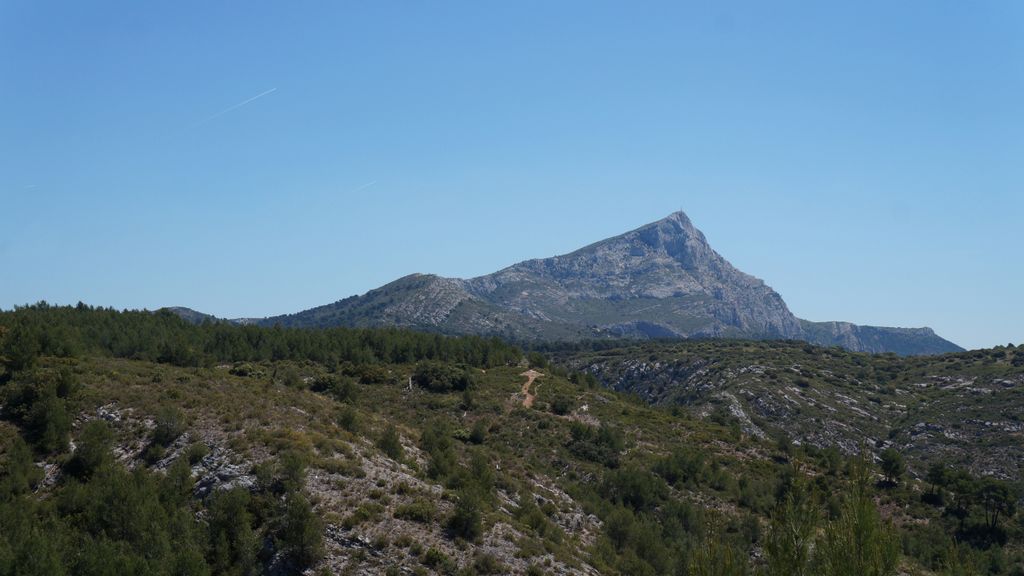 In the forest on the side of the St Victoire, Aix-en-Provence