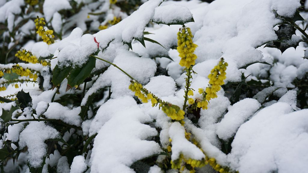 Amstelveen in winter