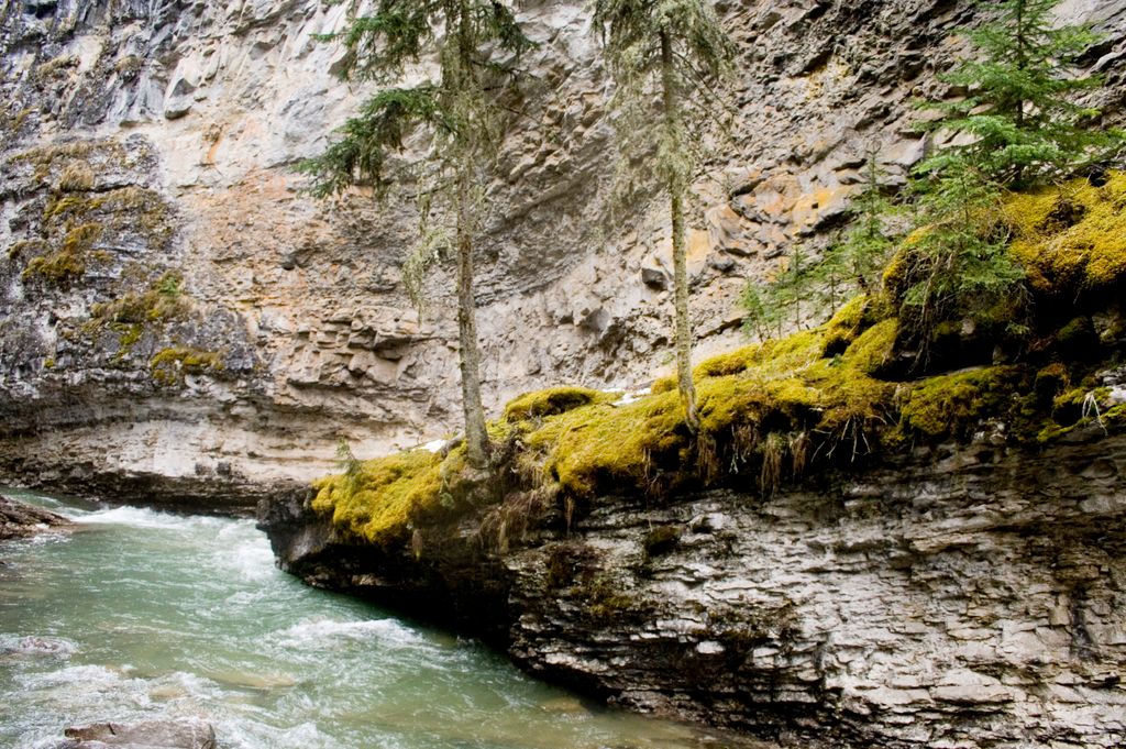 Johnston Canyon, by Banff