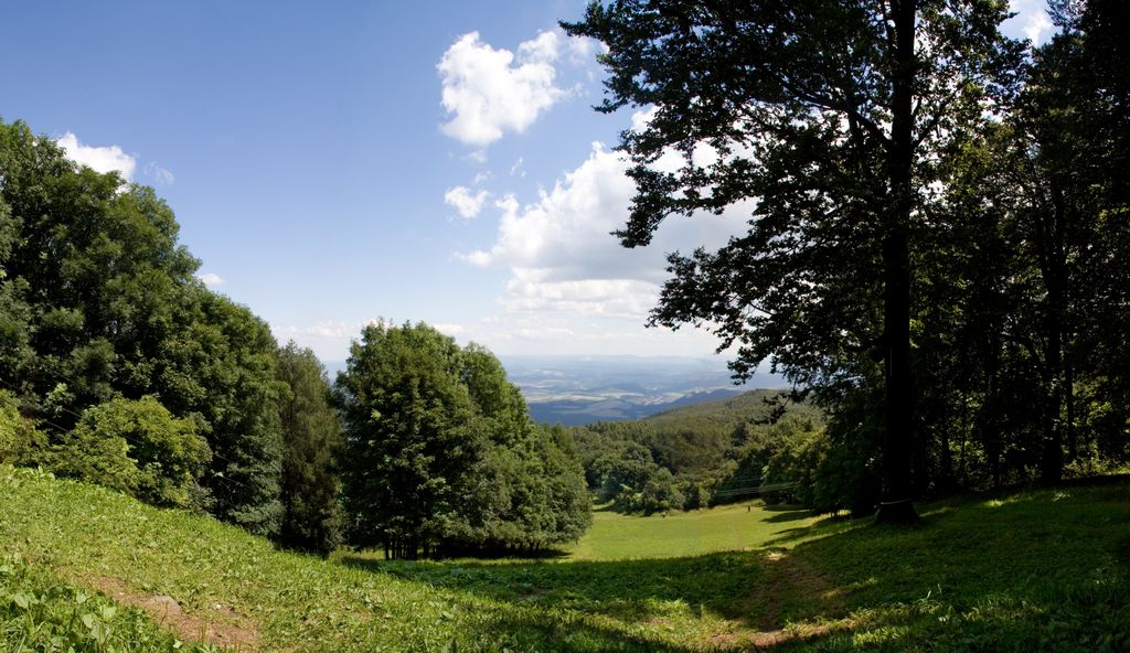 Mátra Hills at Galyatető, Hungary