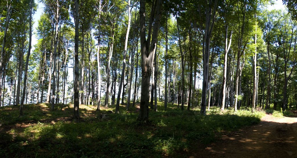 Mátra Hills at Galyatető, Hungary