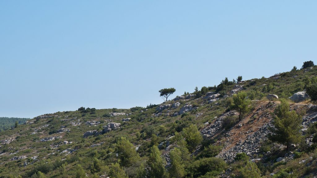 On the path between the Barrage Bimont and le Tholonet, on the side of the St Victoire