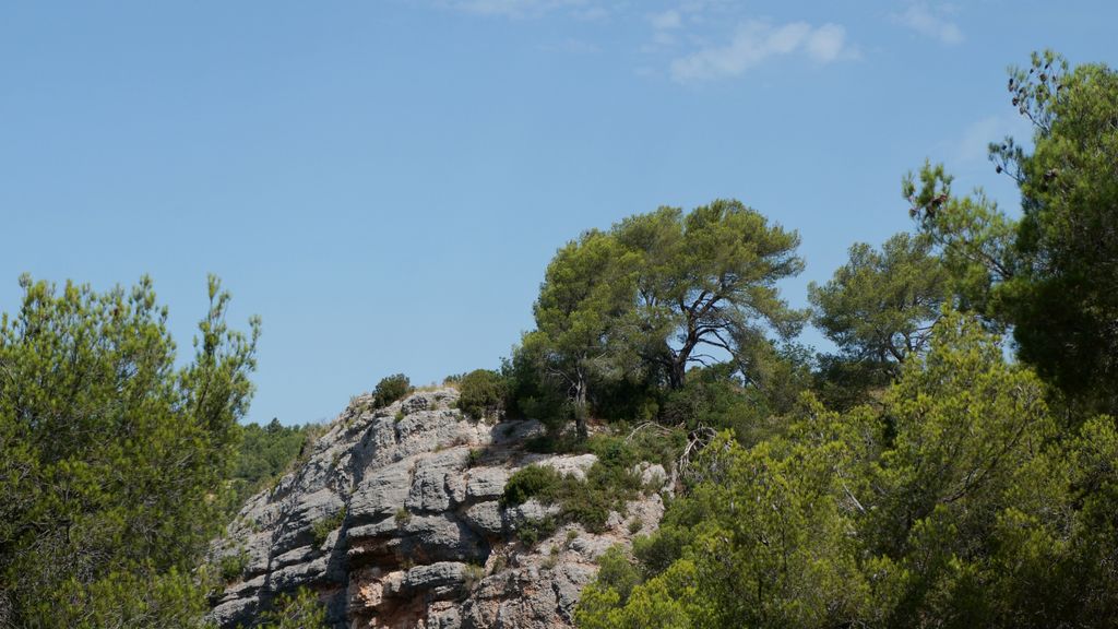 On the path between the Barrage Bimont and the Barrage Zola, on the side of the St Victoire